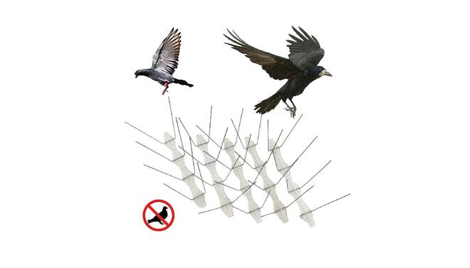 ACCESORIOS DE JARDINERÍA