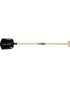 Polet Bats Drents barnizado 00/35 fresno Tallo en T 110cm