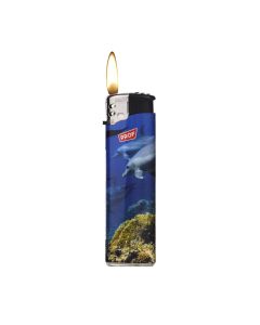 014516 Delfines más ligeros